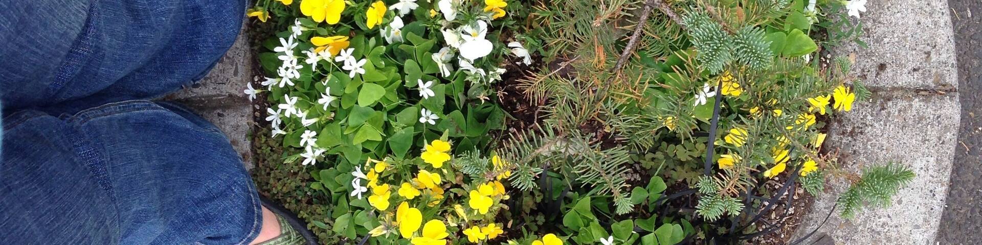 World's smallest park! Sometimes, supposedly, little farm animals and even leprechauns take up residence. It was deserted for our visit.