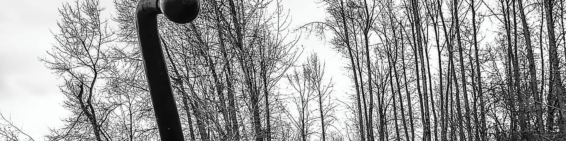 Apropos of nothing, an anchor.