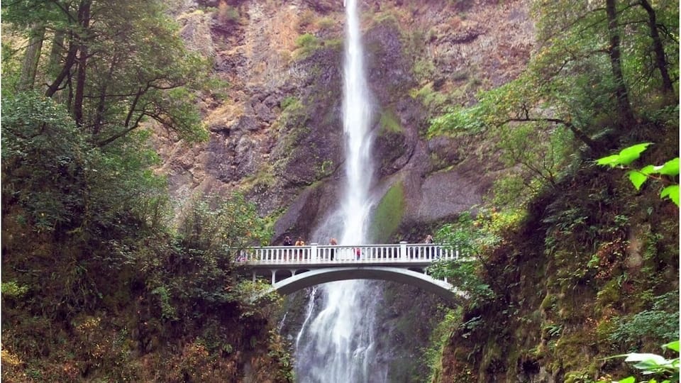 About 30 minutes east of Portland on Hwy 84 are a number of waterfalls, none more visible or famous than Multnomah. Hardly hidden but a gem nonetheless.