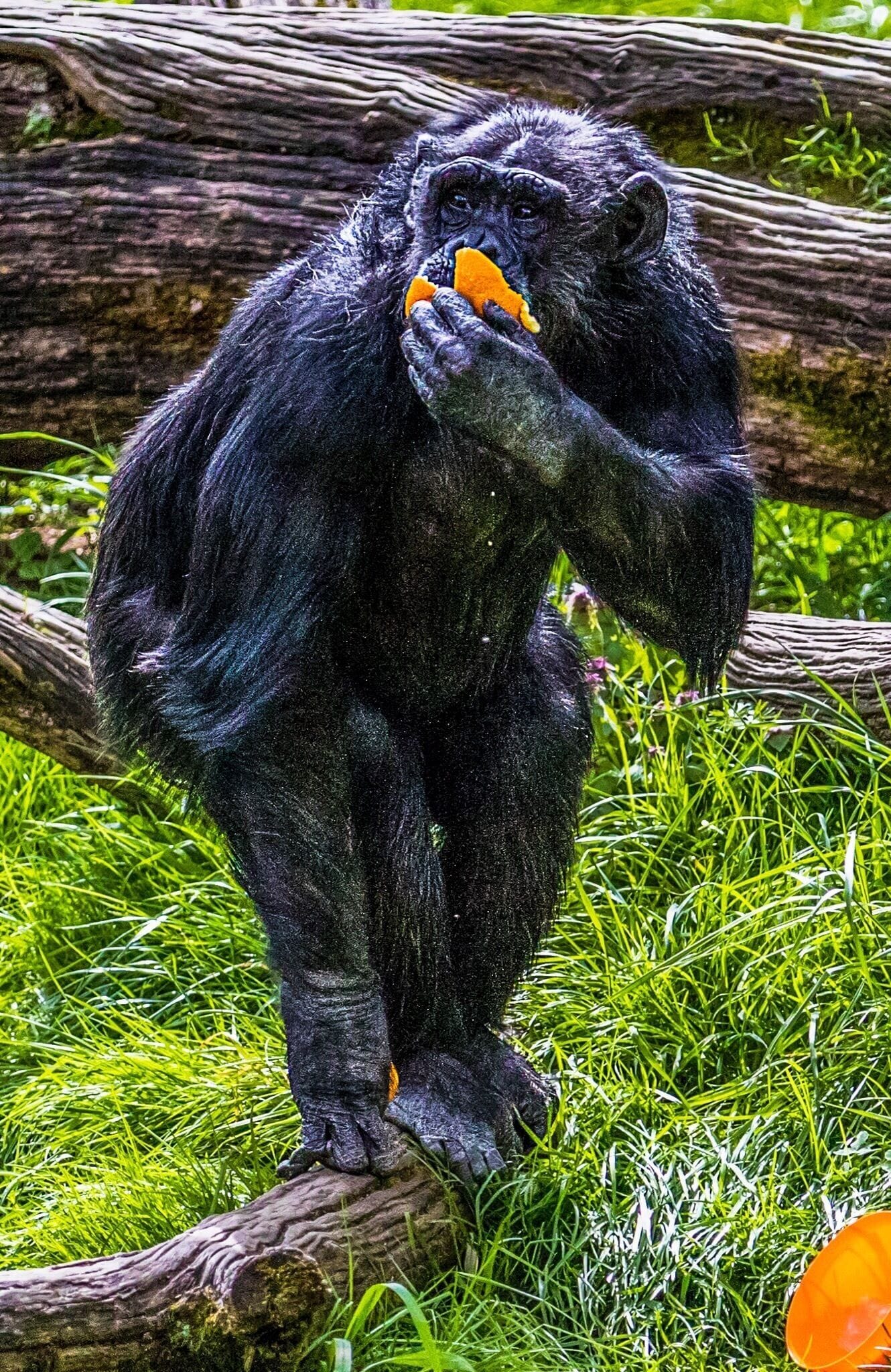 ...with such relish.