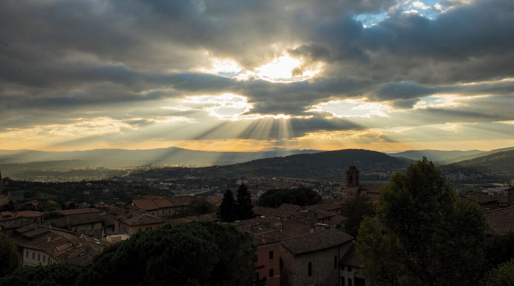 Perugia SEO Uploads
