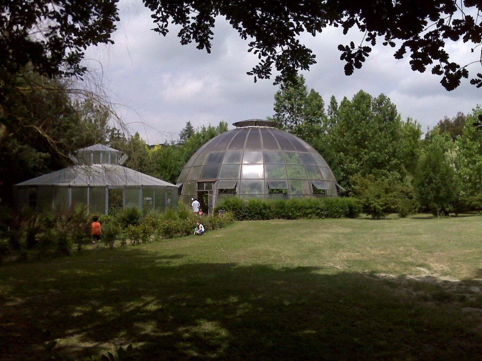 A greenhouse with a dome structure surrounded by trees and grass.