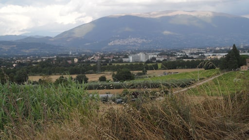 Subasio (sullo sfondo)