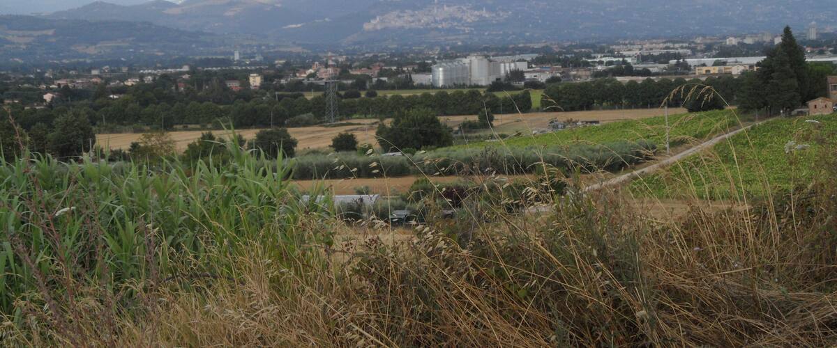 A mountainous landscape with a town in the valley.