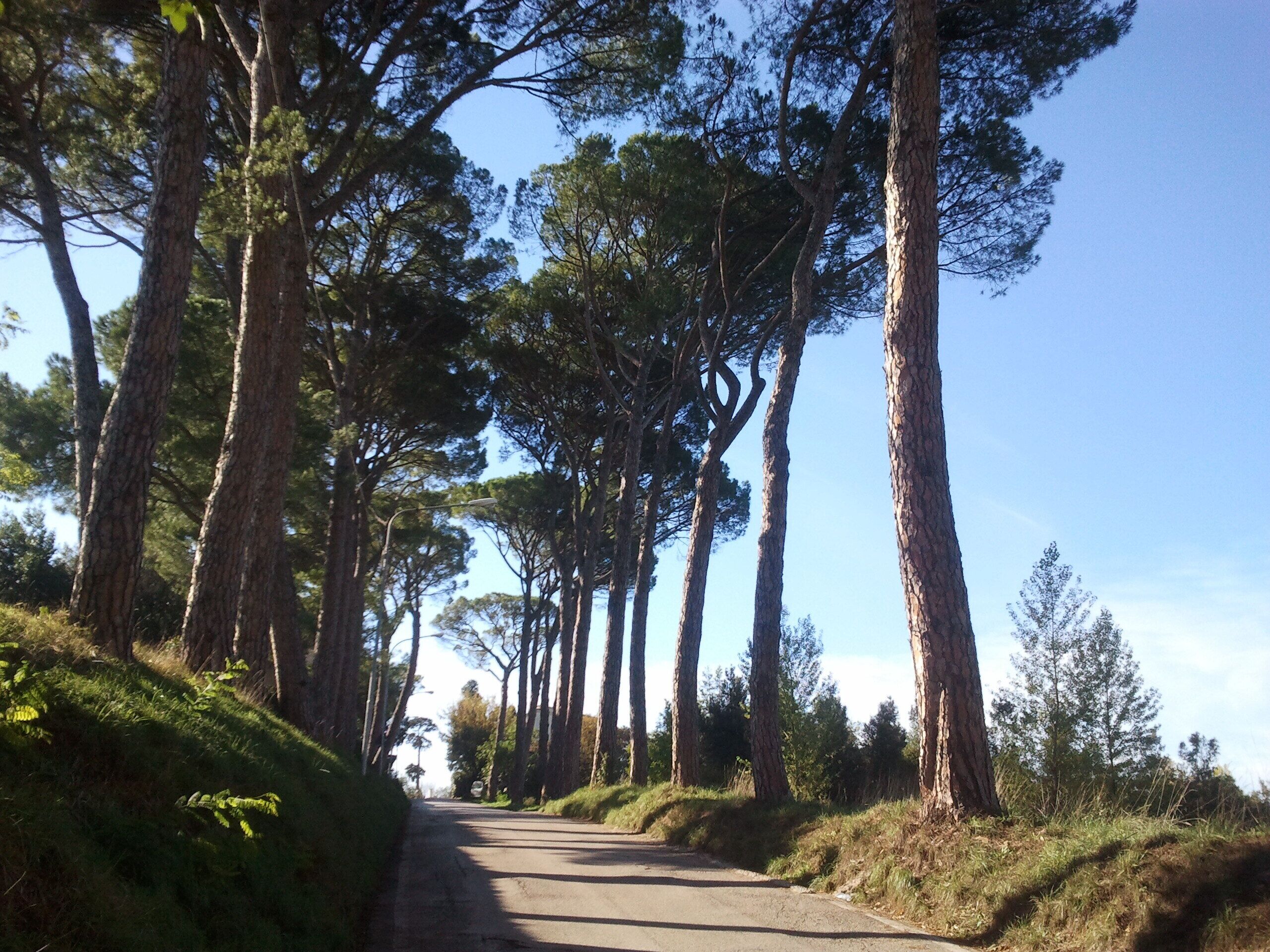 Collestrada (PG), accesso al borgo