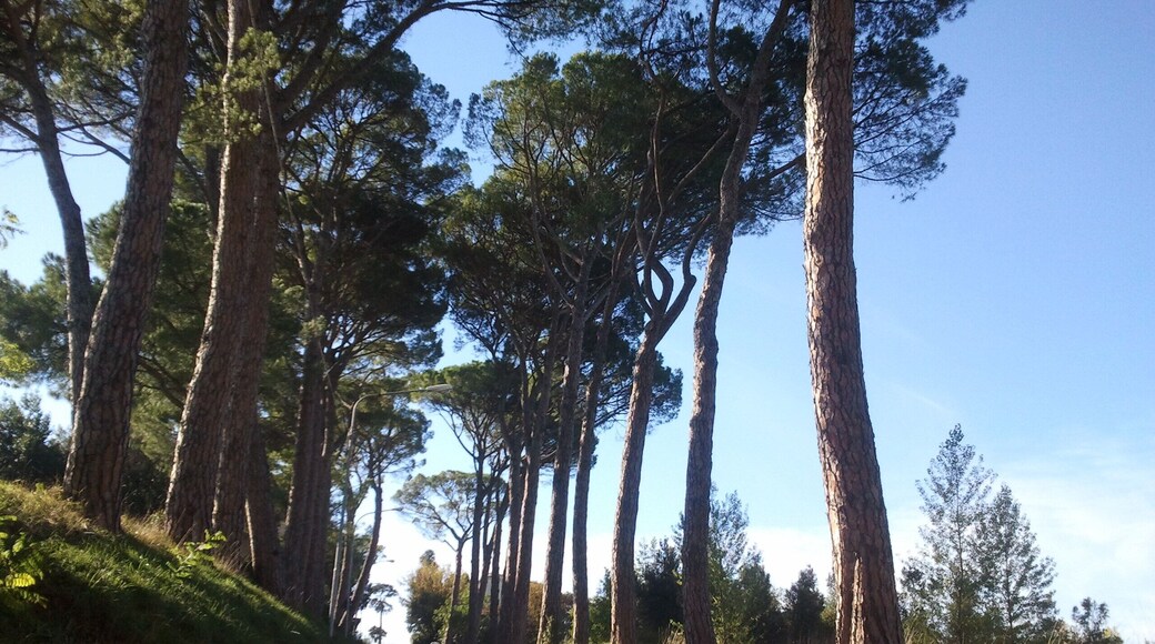 Collestrada (PG), accesso al borgo