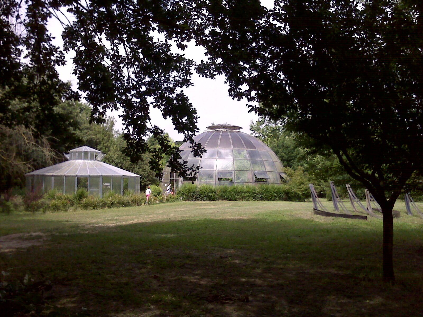Bosco didattico di Ponte Felcino, Perugia