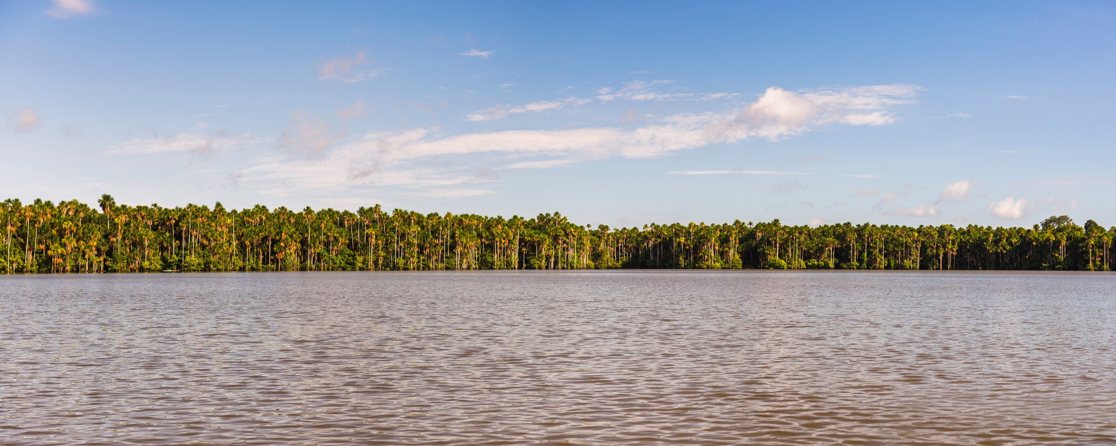 プエルト マルドナド