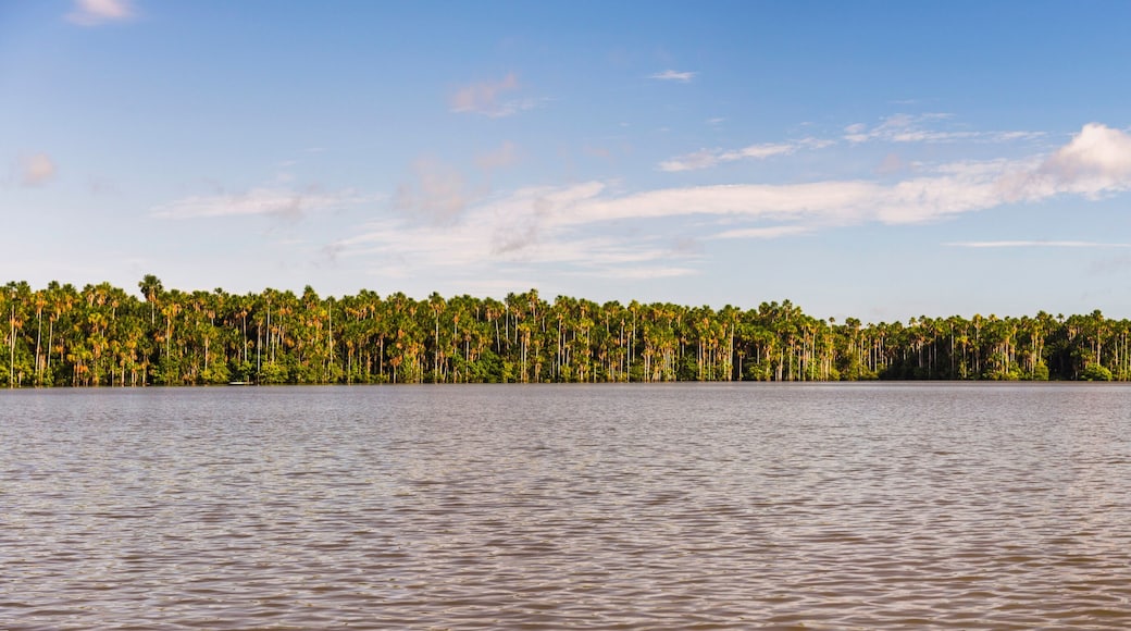 プエルト マルドナド