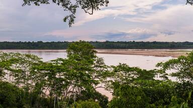 A river surrounded by dense green forest.