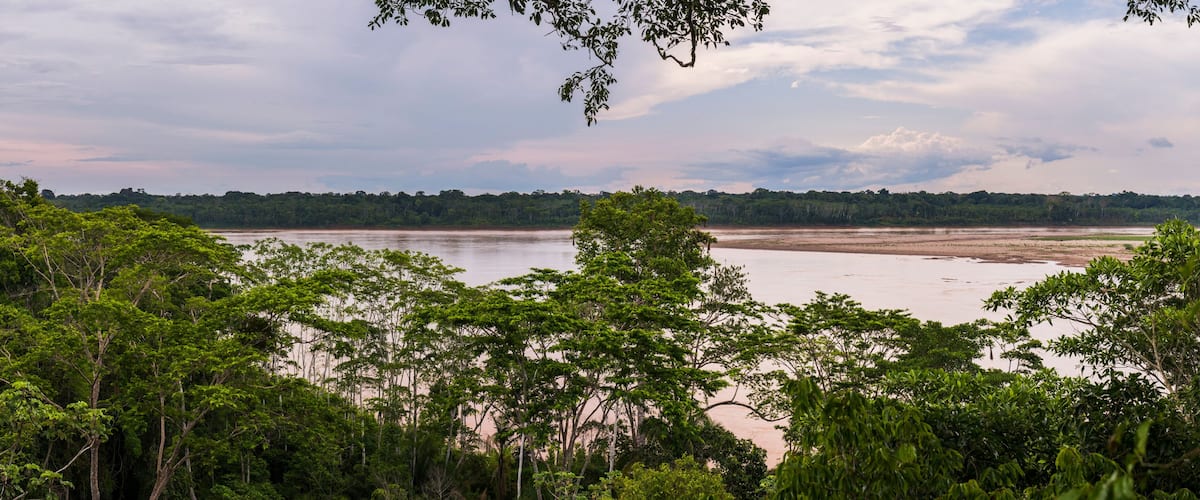 A river surrounded by dense green forest.