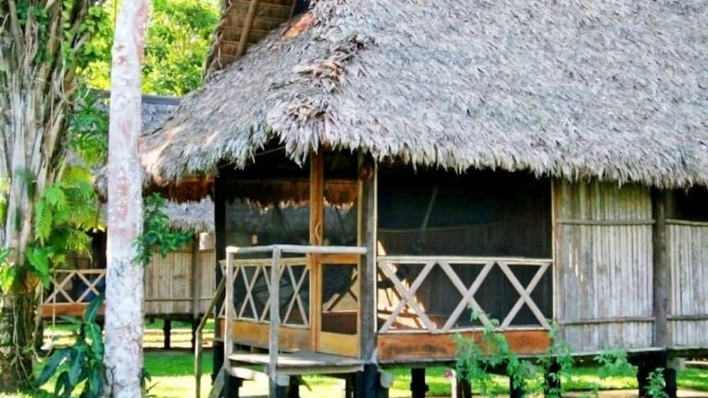 This great little ecolodge makes for a nice 3-4 day side trip if you are visiting Cusco and the Sacred Valley. Fly into Puerto Maldonado and from there it's a 45min boat ride down the Madre de Dios River (an Amazon River tributary).
Our cabana was quite comfy, especially so considering we were in the Amazon Jungle. A limited (and sketchy) power supply made charging batteries tricky, but it all worked out. Sun-warmed-water for showers also worked out given the high humidity and warm afternoons. The food was more than decent and the daily excursions were lots of fun. Be sure to bring plenty of mosquito spray and always wear closed-toed shoes in the grass!