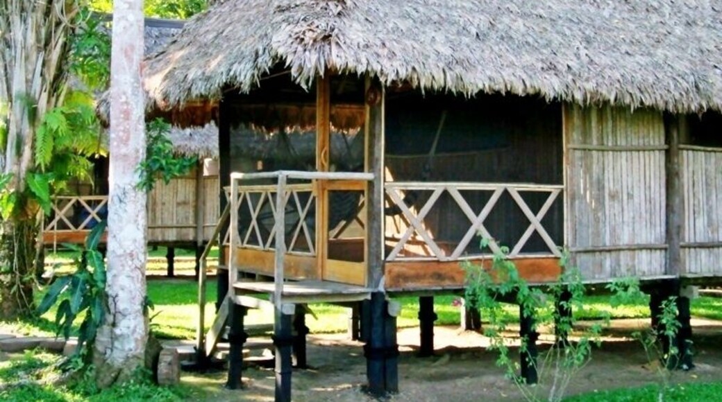 This great little ecolodge makes for a nice 3-4 day side trip if you are visiting Cusco and the Sacred Valley. Fly into Puerto Maldonado and from there it's a 45min boat ride down the Madre de Dios River (an Amazon River tributary).
Our cabana was quite comfy, especially so considering we were in the Amazon Jungle. A limited (and sketchy) power supply made charging batteries tricky, but it all worked out. Sun-warmed-water for showers also worked out given the high humidity and warm afternoons. The food was more than decent and the daily excursions were lots of fun. Be sure to bring plenty of mosquito spray and always wear closed-toed shoes in the grass!