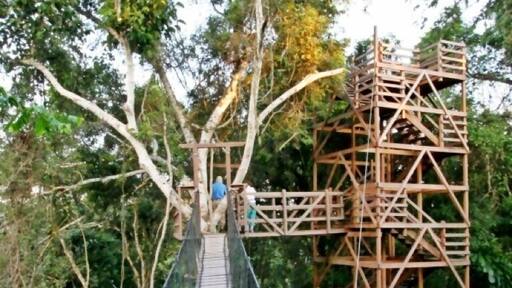 Enjoy a unique perspective from this network of towers, bridges and platforms suspended 100ft (30 m) above the forest floor. The flora and fauna are different up here, and if you're lucky you might see eye-to-eye with a toucan, woodpecker or trogon.