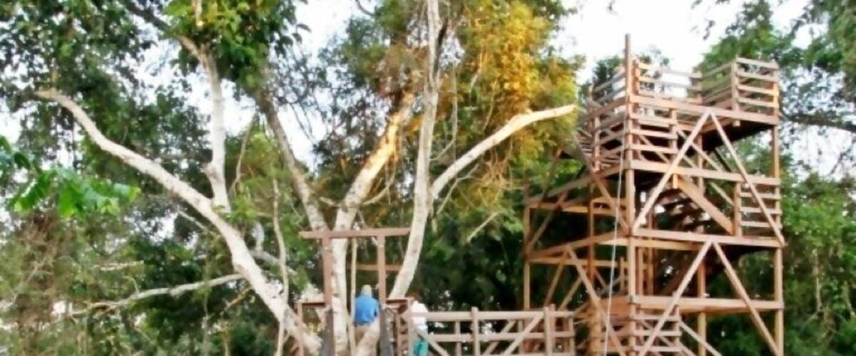 Enjoy a unique perspective from this network of towers, bridges and platforms suspended 100ft (30 m) above the forest floor. The flora and fauna are different up here, and if you're lucky you might see eye-to-eye with a toucan, woodpecker or trogon.