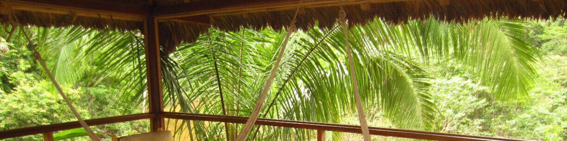 A 5-start Eco-turism lodge in a middle of the Amazon rainforest. Puerto Maldonado is the up and coming tourism spot with Inkaterra running several lodges situated on the banks of the Madre de Dios river. This was a fantastic experience to learn about the company's preservation efforts, plants, animals, and participate in a well- organized day and night tours through the jungle.