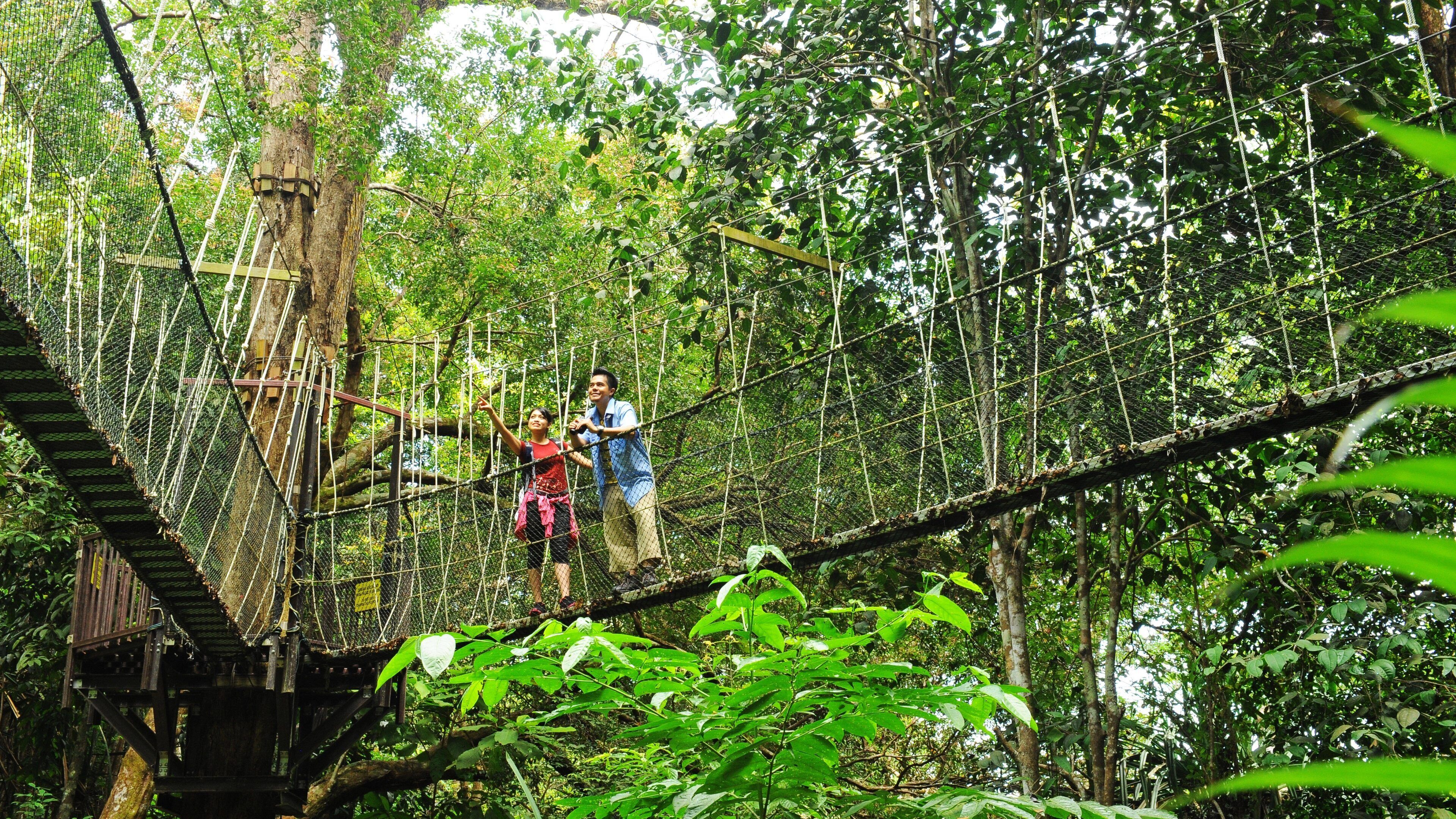 Penang featuring a suspension bridge or treetop walkway as well as a couple
