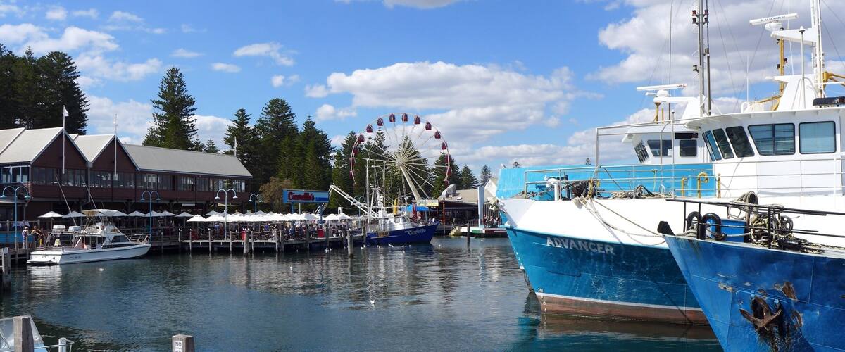 A marina with boats docked, a Ferris wheel, and a building with a sign.