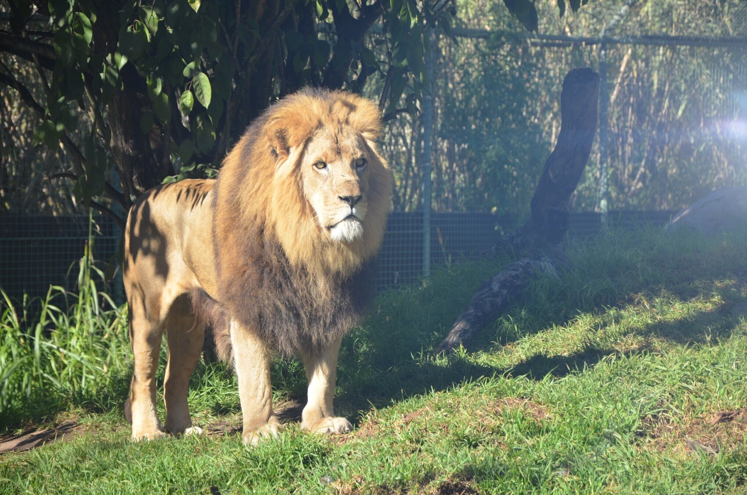 A Royal encounter......