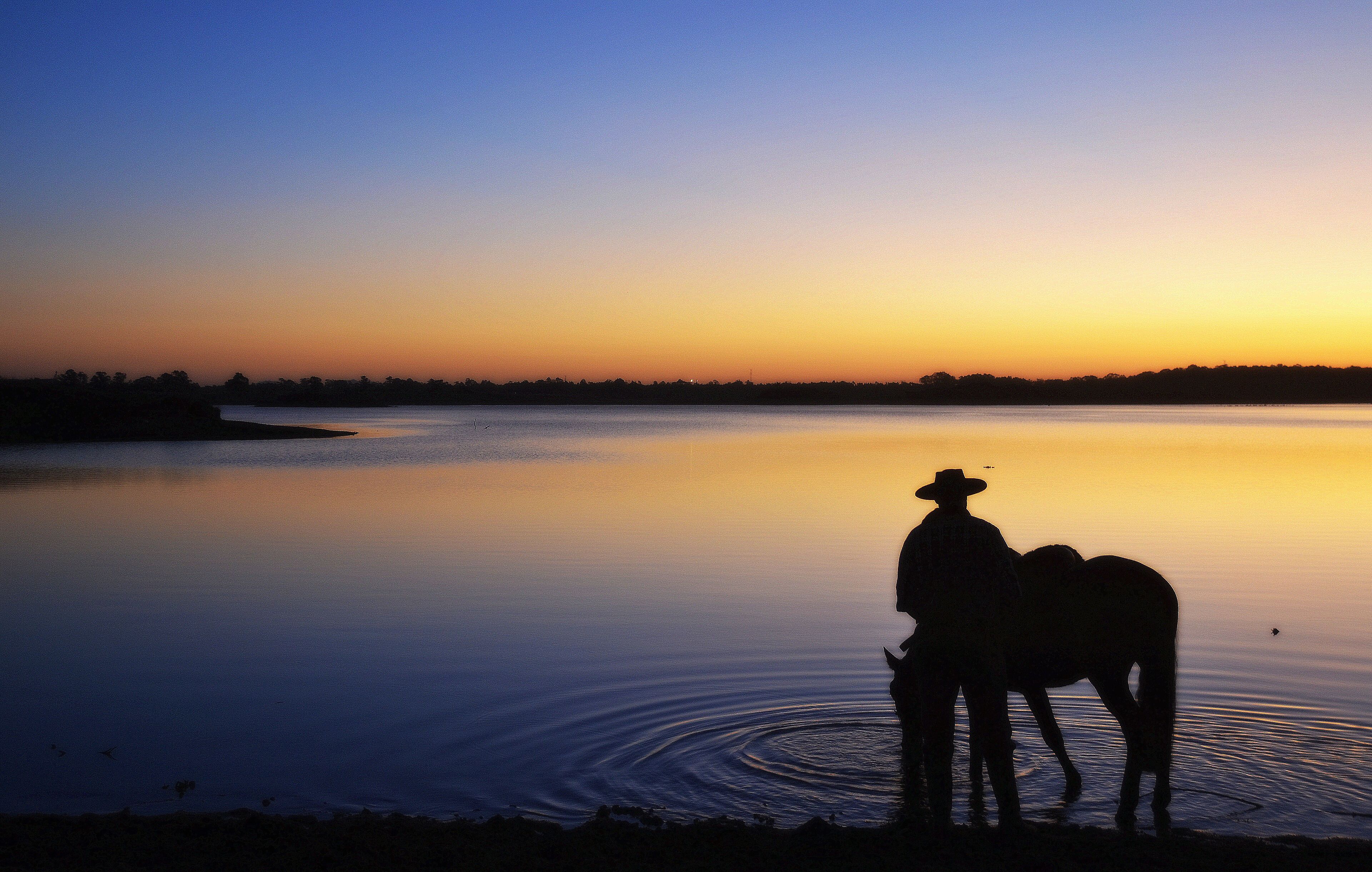 适合家庭的最佳住宿
