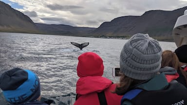 A group of people on a boat, observing a whale's tail above the water.