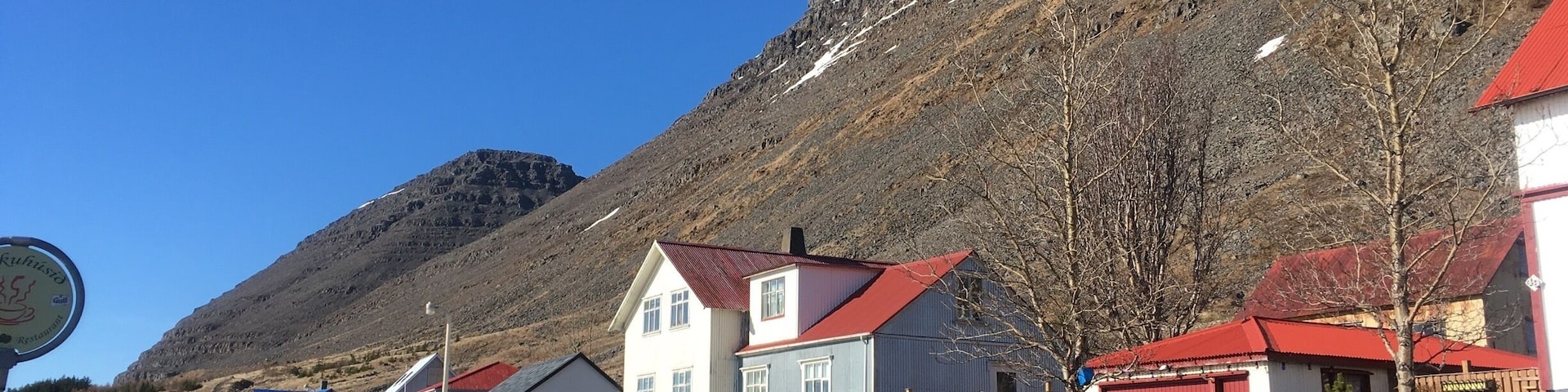 So we were driving North in search of Puffins, instead we found this restaurant that had desserts to die for! To get to this town, we drove 5 hours north of Reykjavik... the owner told us that you can see whales from the windows... it wasn't whale season when we went.