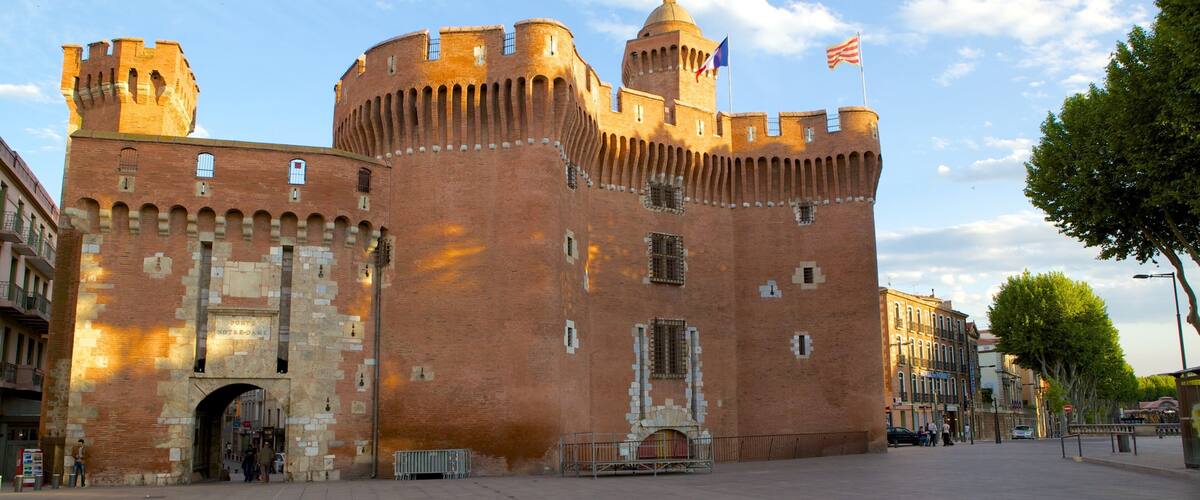 Perpignan showing château or palace, heritage architecture and street scenes
