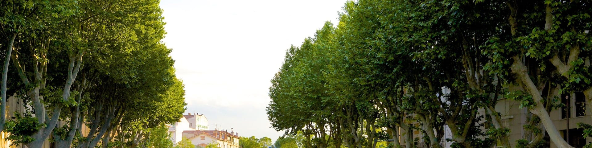 Perpignan featuring a river or creek and a garden
