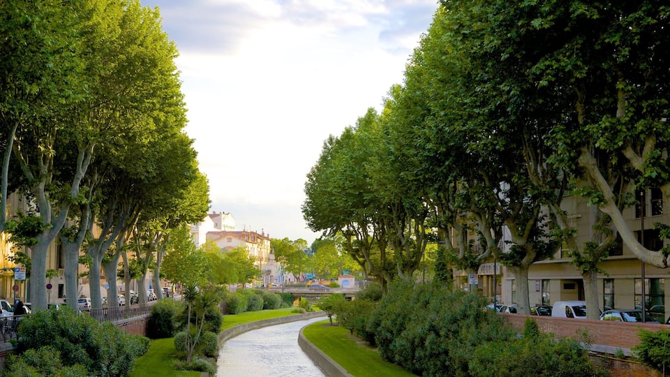 Perpignan som viser park og elv eller bekk