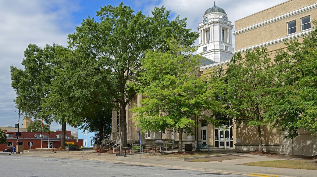 Pitt County Courthouse (1910), historic courthouse building among green trees located at Greenville, Pitt County, North Carolina