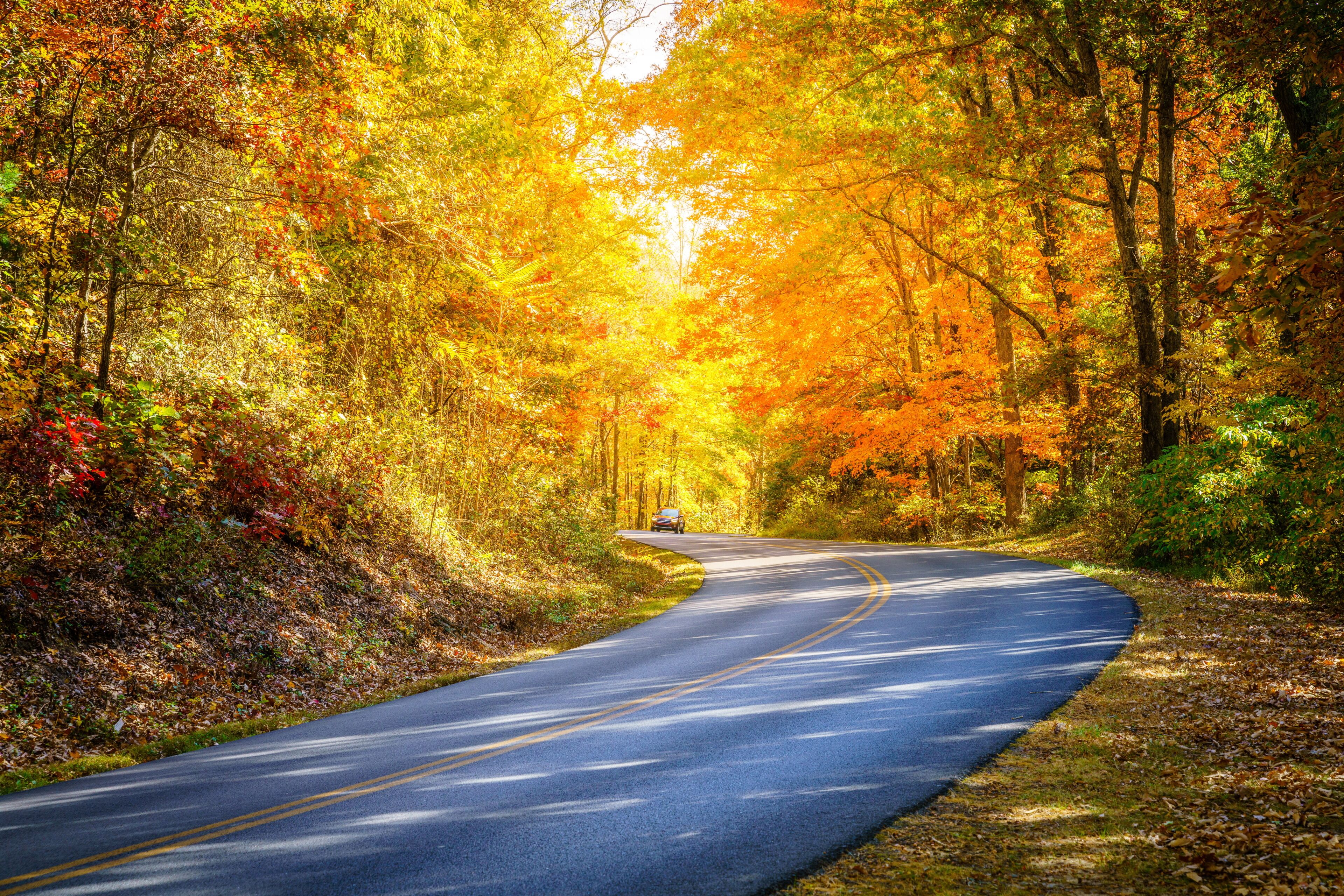 A winding road through a forest with autumn foliage.