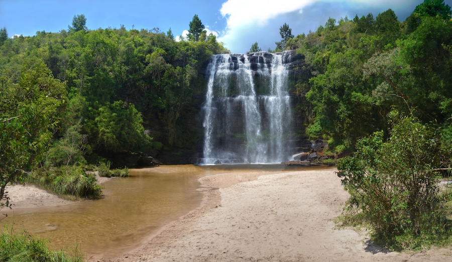 A waterfall cascading into a clear pool surrounded by dense forest.