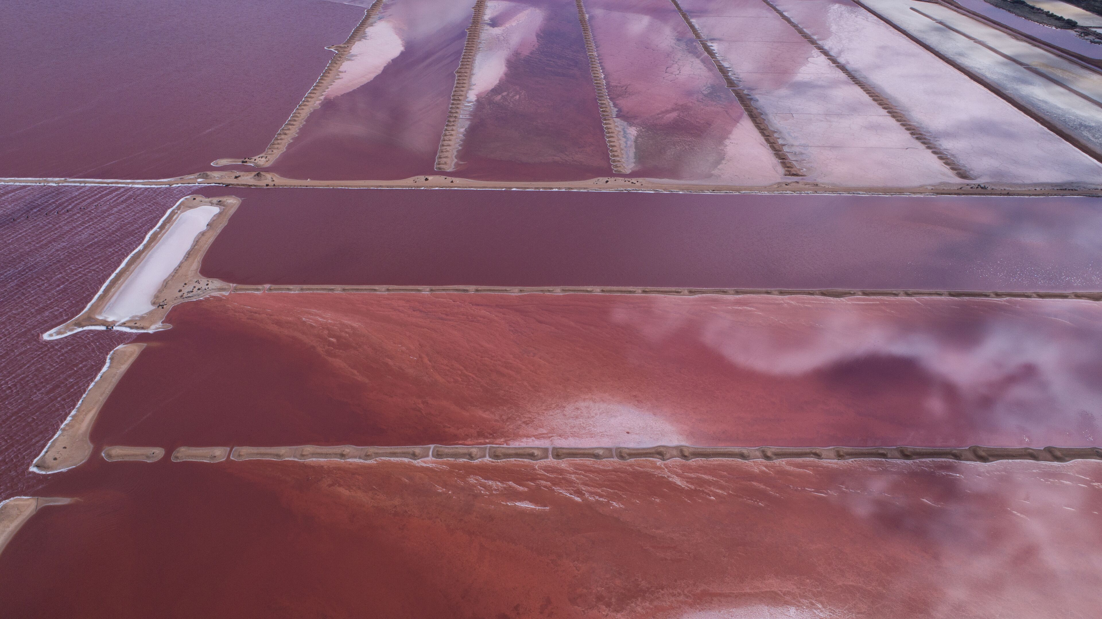 A salt flat with distinct color variations and linear patterns.