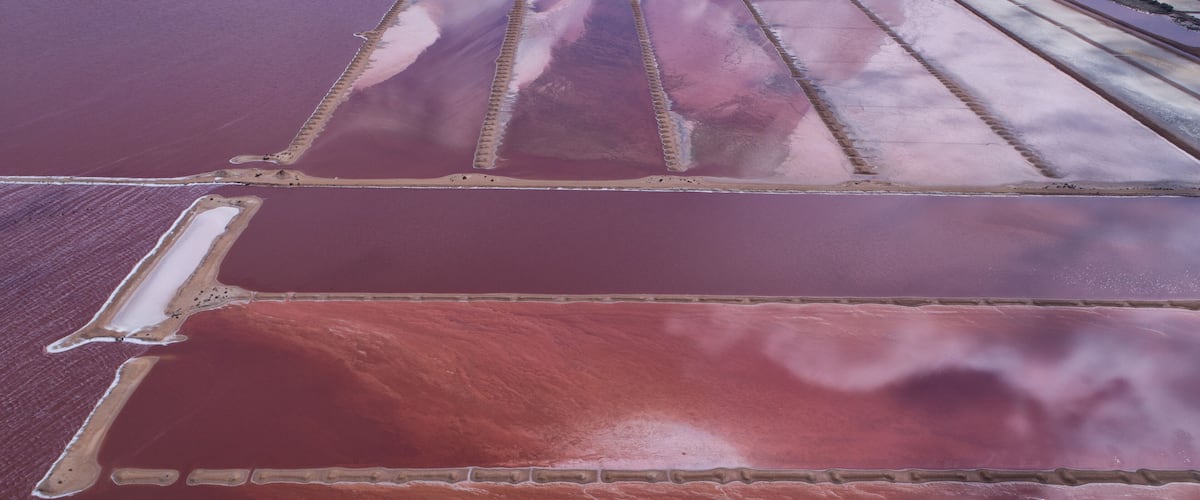 A salt flat with distinct color variations and linear patterns.