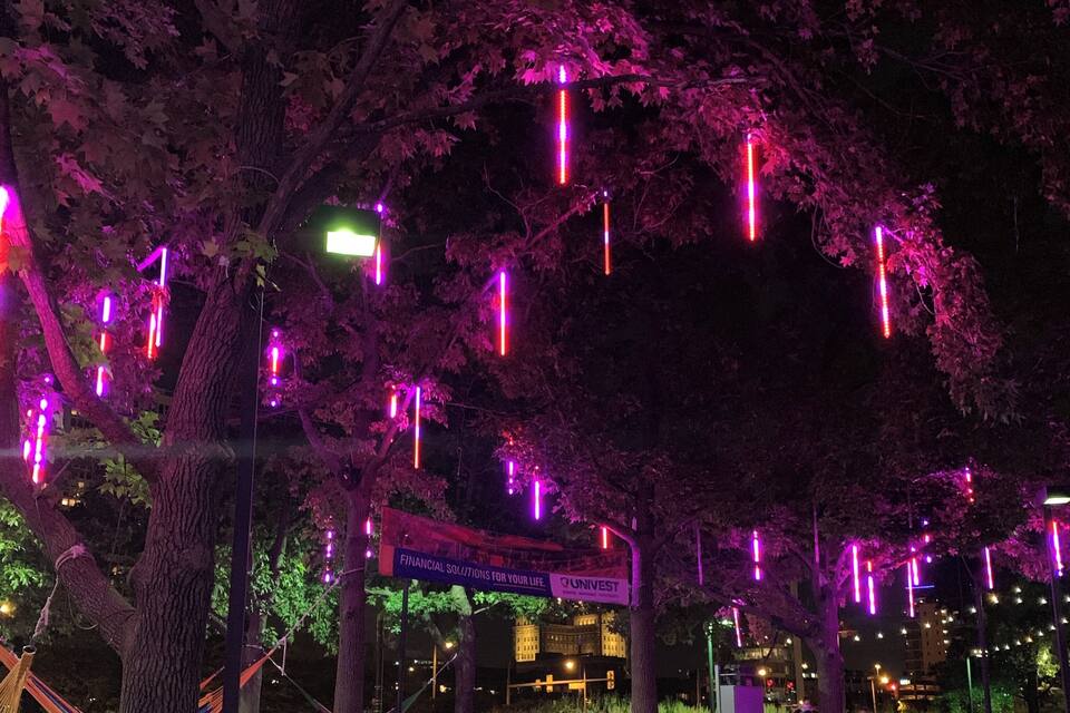 A tree with hanging lights and a sign that reads "Financial Solutions for Your Life."