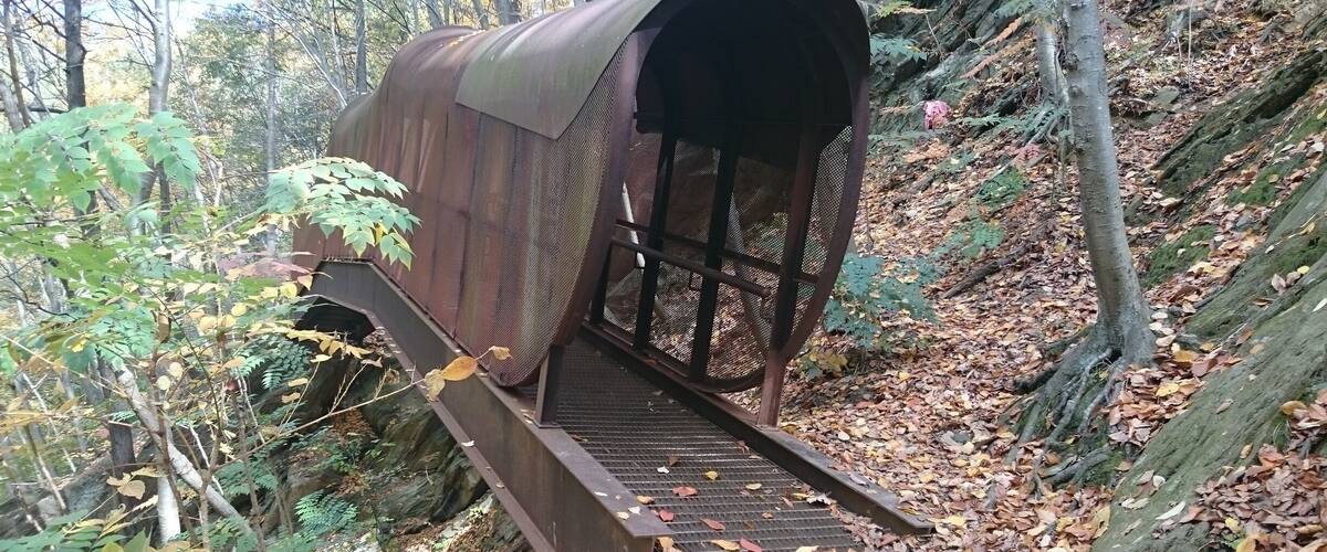 Finger Span Bridge is an art installation that is a functional pedestrian bridge the resembles a human finger (complete with a fingernail) that spans a picturesque gorge inside Fairmount Park.