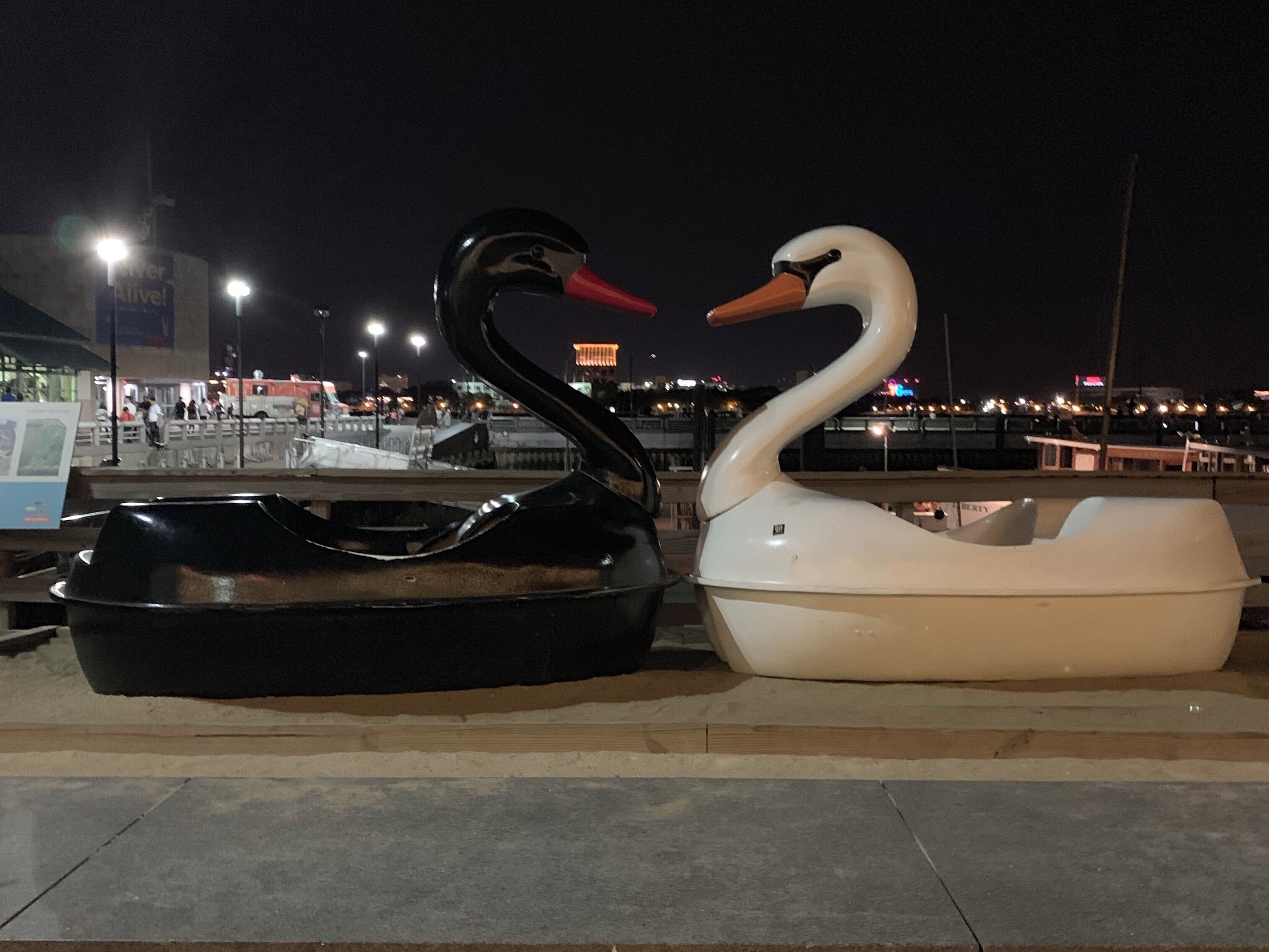 The Harbor at Spruce Street