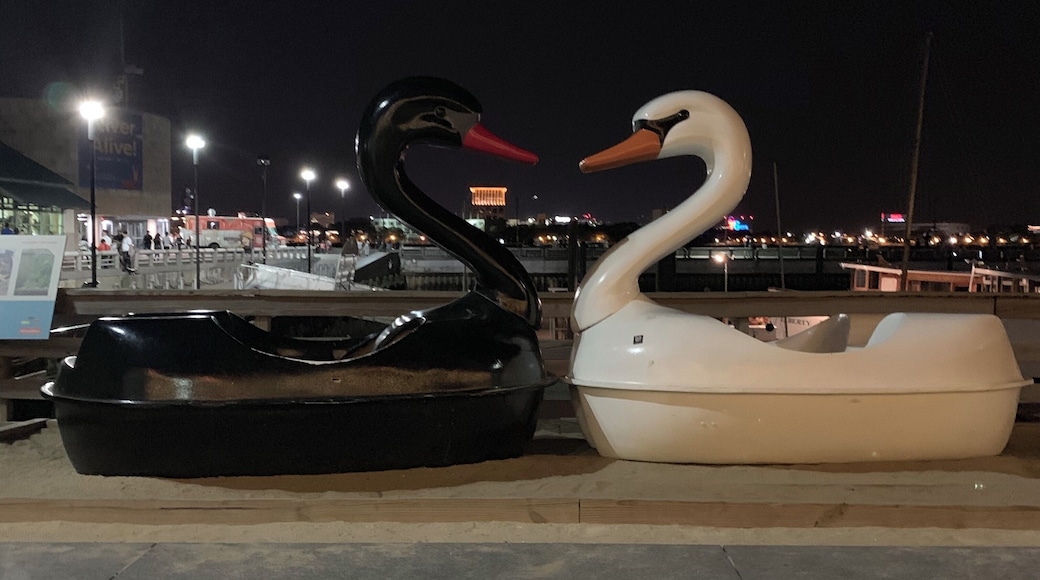 The Harbor at Spruce Street