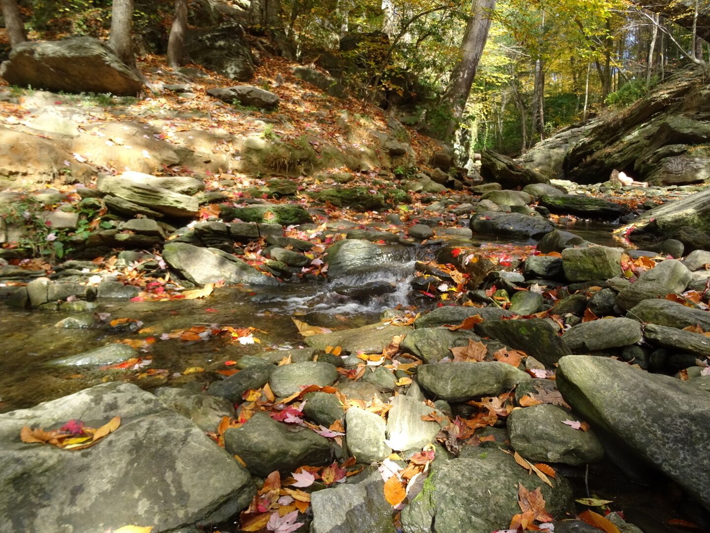 Fall foliage collecting on the rocks near Devil's Pool in Wissahickon Valley Park.