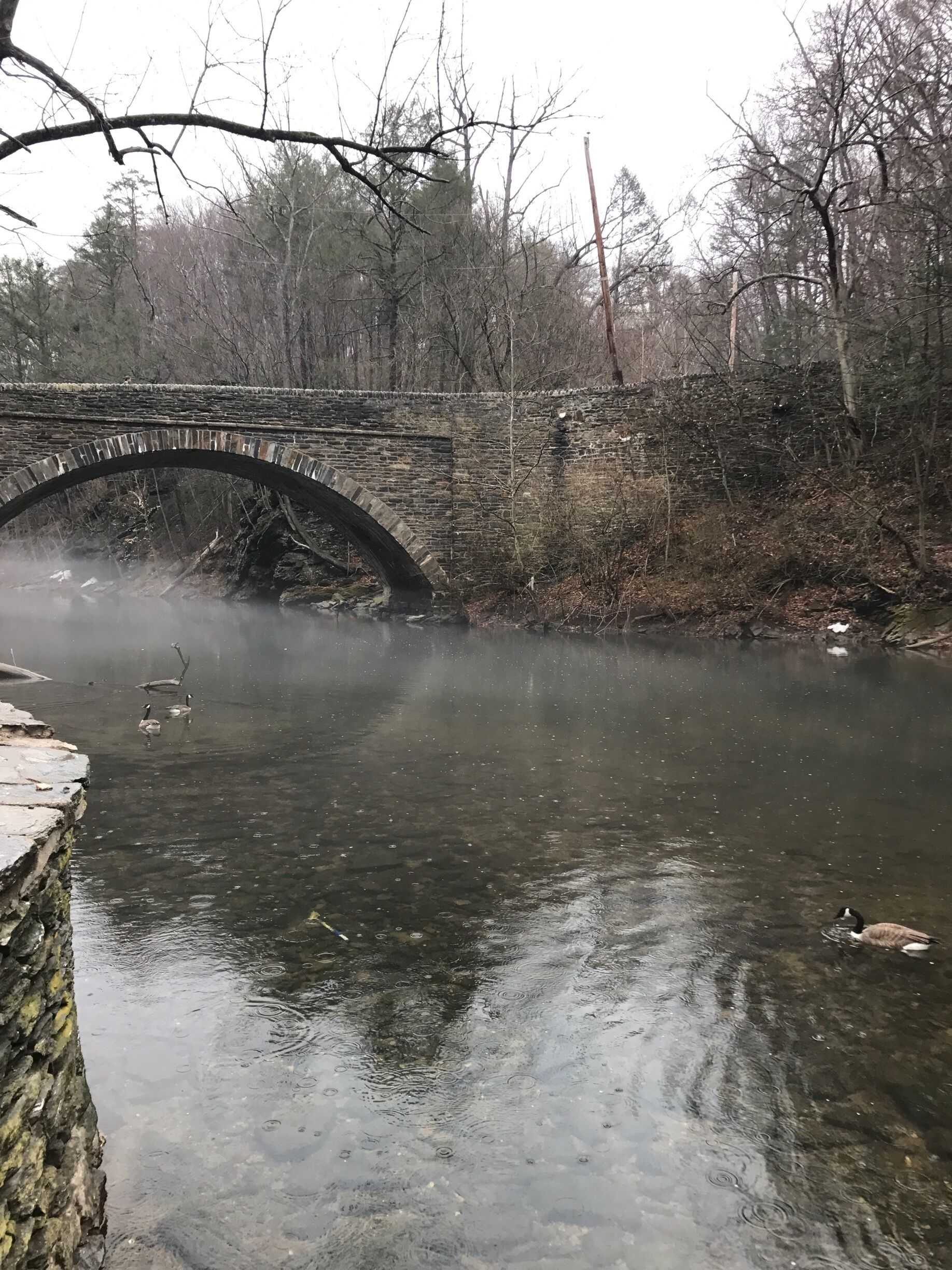 #wissiahickon #park #bridge #nature
