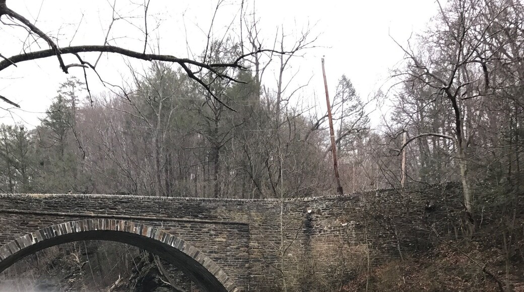 #wissiahickon #park #bridge #nature