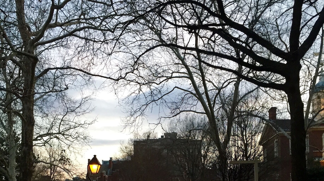 Love the streets and areas surrounding the old city