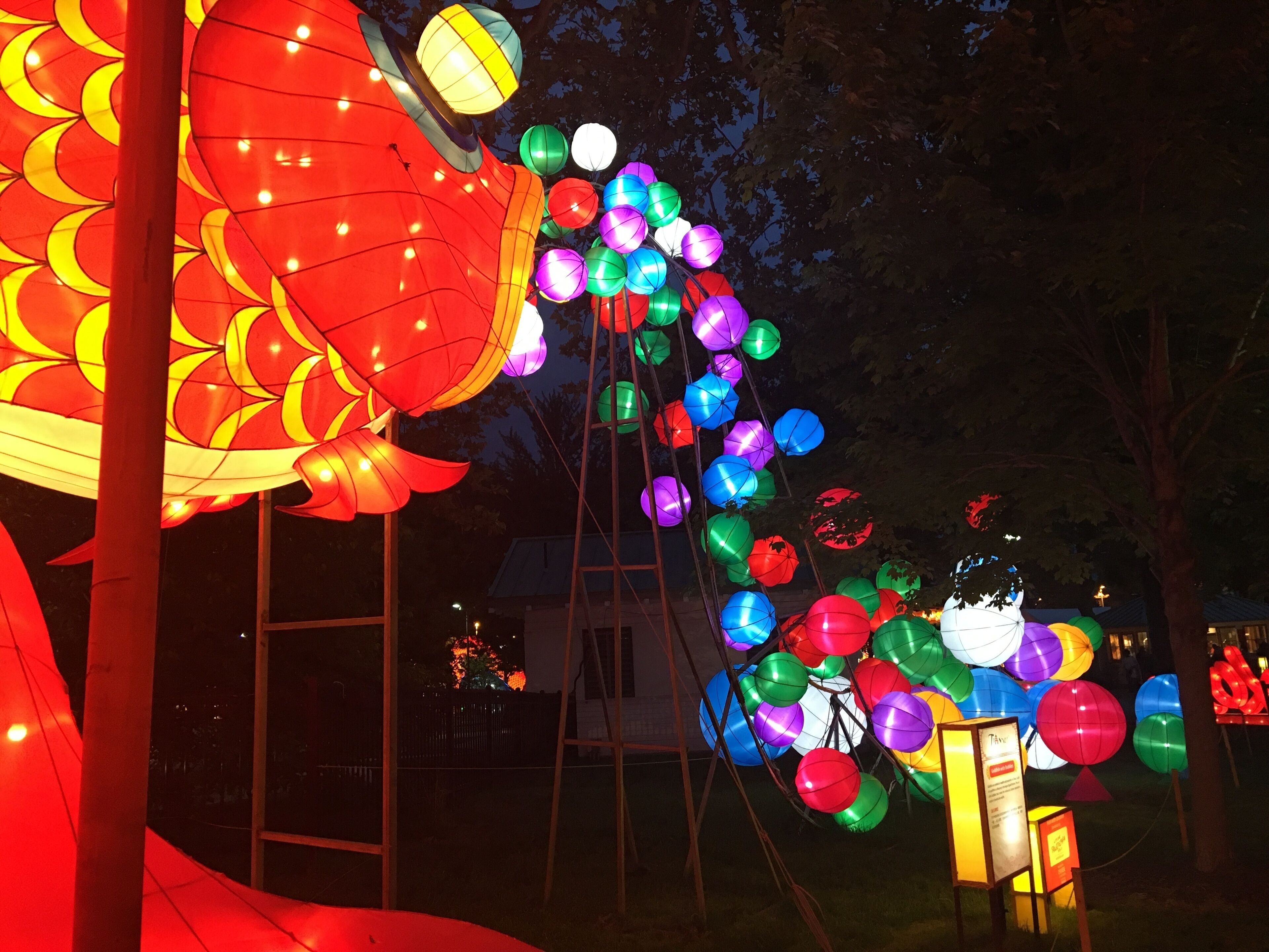 Chinese Lantern Festival