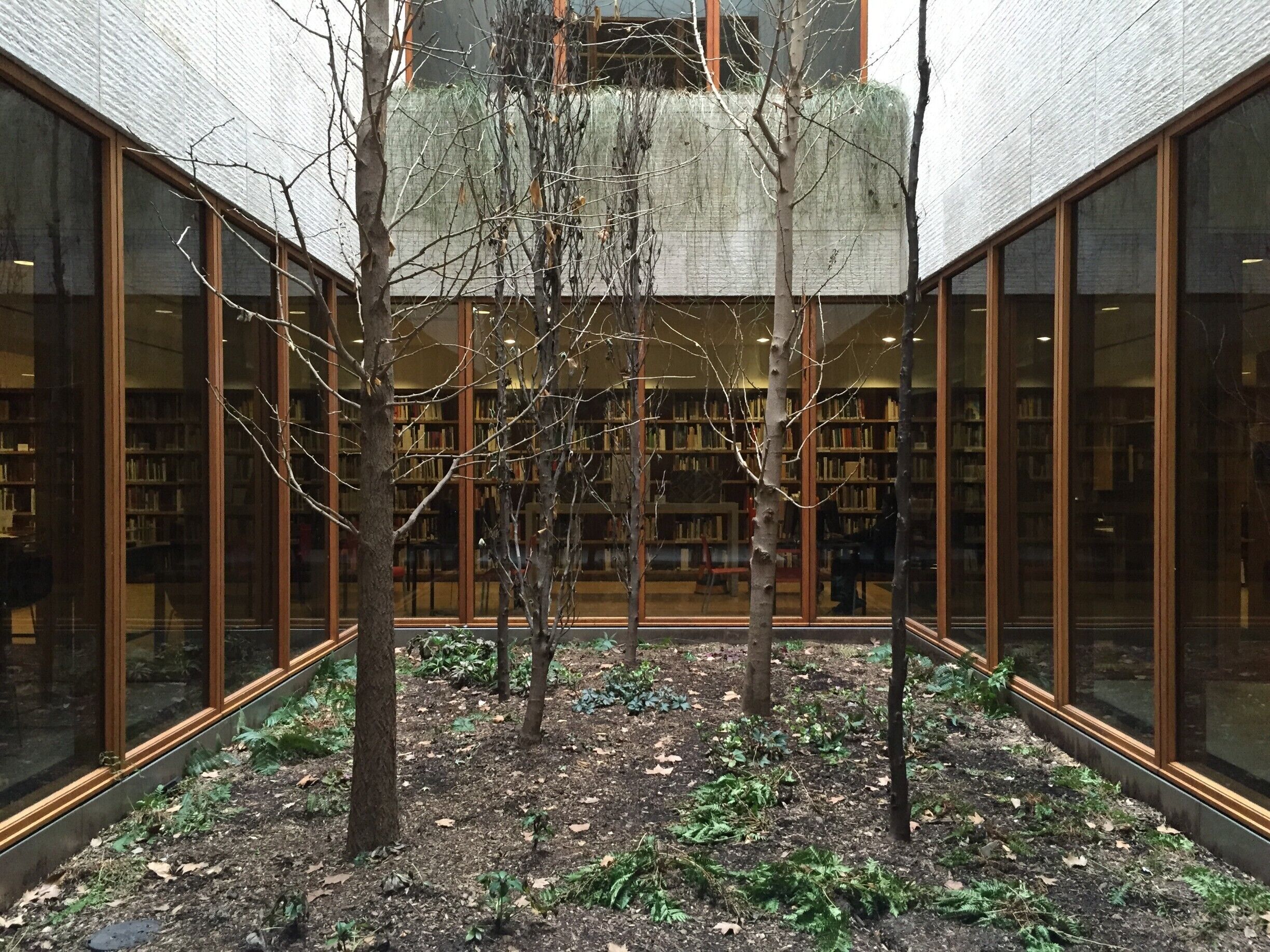 Philly's Barnes foundation is full of incredible art, but below the museum just as incredible of a view.  Head to the lower level to see this beautiful atrium.   #lifeatexpedia