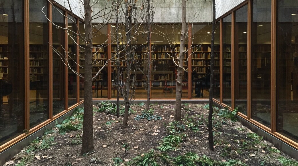 Philly's Barnes foundation is full of incredible art, but below the museum just as incredible of a view. Head to the lower level to see this beautiful atrium. #lifeatexpedia
