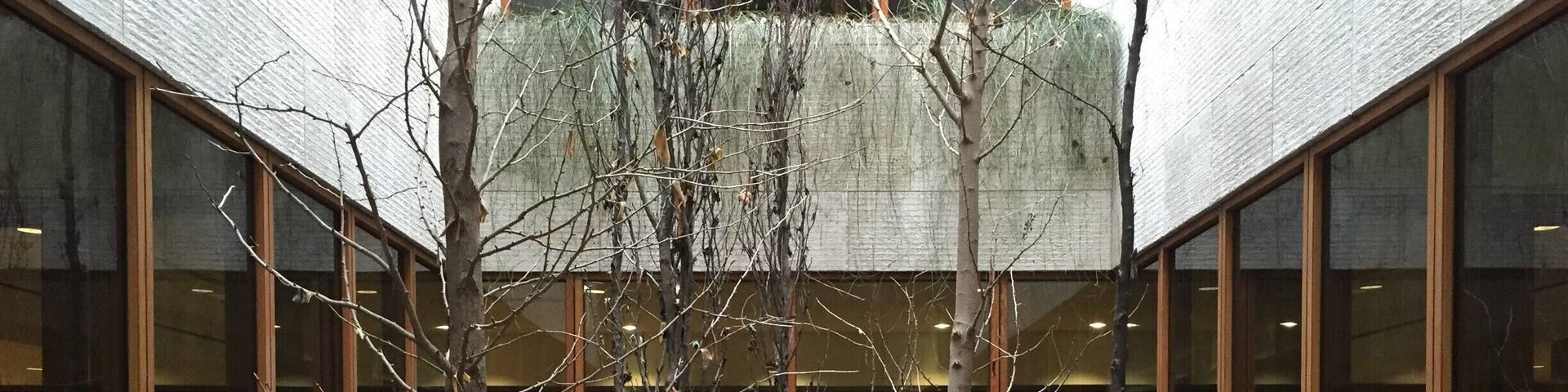 Philly's Barnes foundation is full of incredible art, but below the museum just as incredible of a view. Head to the lower level to see this beautiful atrium. #lifeatexpedia