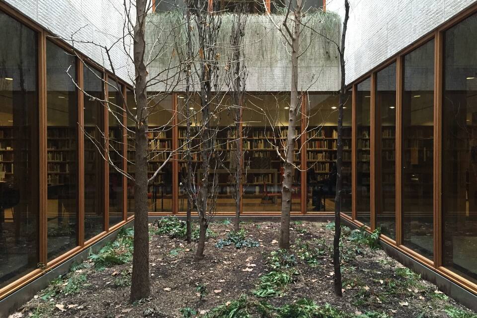 Une cour intérieure agrémentée d’arbres, un jardin et une bibliothèque avec des étagères.