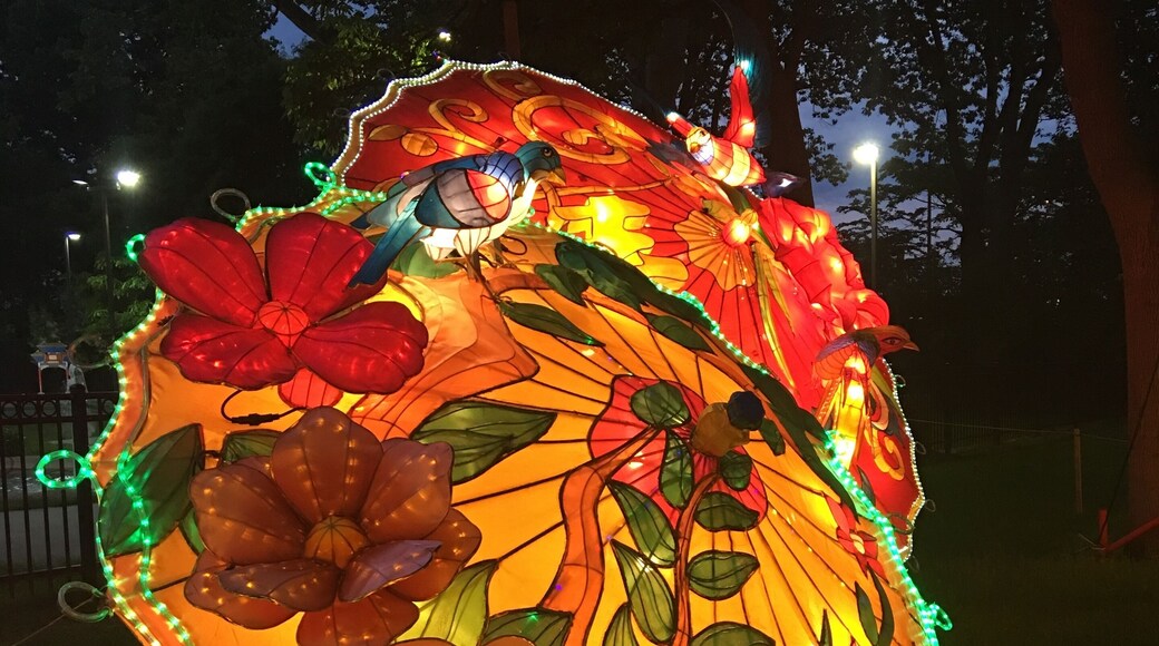 Chinese Lantern Festival