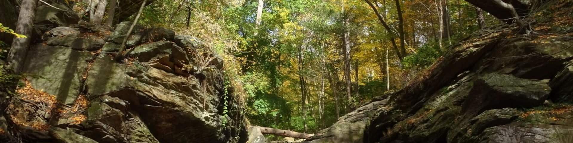 The stone span overhead in the Devil's Pool area of Wissahickon Valley Park is actually the fanciest concealment of a sewage pipe I've ever encountered.