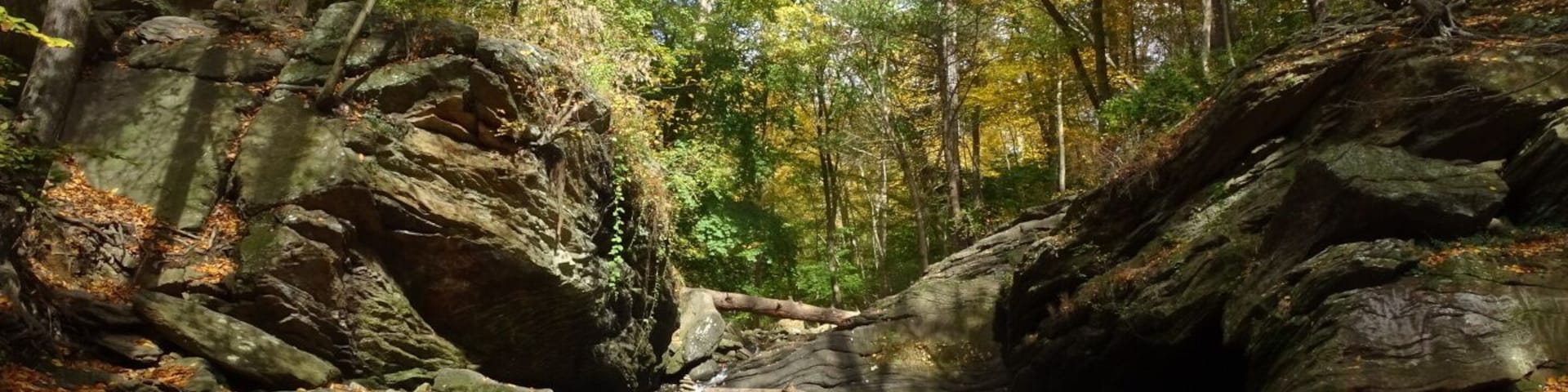 The stone span overhead in the Devil's Pool area of Wissahickon Valley Park is actually the fanciest concealment of a sewage pipe I've ever encountered.